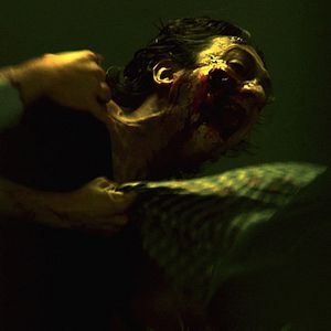 Bilder Jaume Balagueró