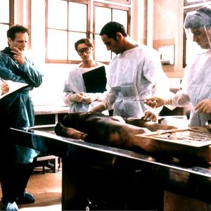 Bilder André Dussollier