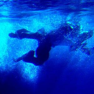 Bilder Für den unbekannten Hund