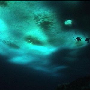 Bilder The Wild Blue Yonder