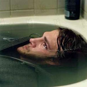 Bilder Butterfly Effect