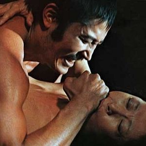 Bilder Kazuko Yoshiyuki