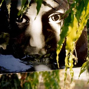 Bilder Mein Tod ist nicht dein Tod