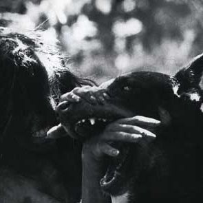 Bilder François Truffaut