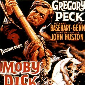 Bilder Moby Dick