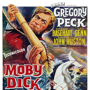 Bilder Moby Dick