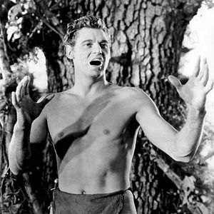 Bilder W.S. Van Dyke