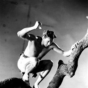 Bilder Tarzan, der Affenmensch