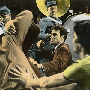 Bilder Süßer Vogel Jugend