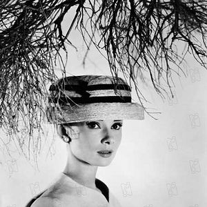 Bilder Stanley Donen