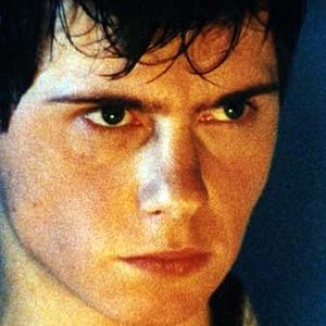 Bilder Julien Cottereau