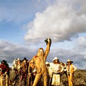 Bilder Cowgirl Blues