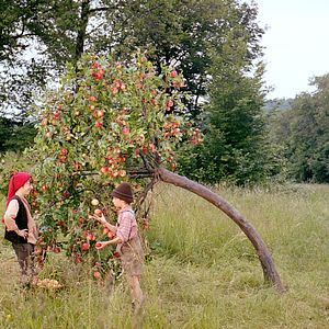 Bilder Der Räuber Hotzenplotz