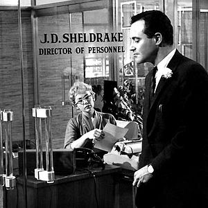 Bilder Das Appartement