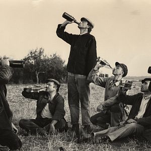 Bilder Der Krieg der Knöpfe