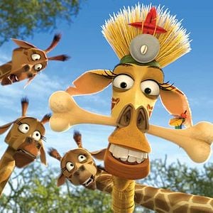 Bilder Madagascar 2