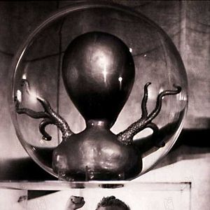 Bilder William Cameron Menzies