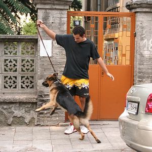 Bilder Ausgerechnet Bulgarien