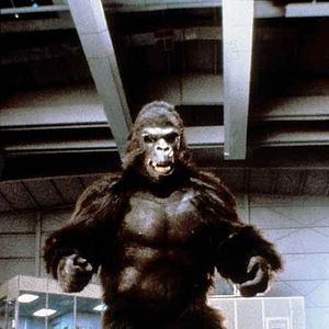 Bilder King Kong lebt