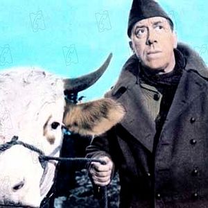 Bilder Henri Verneuil