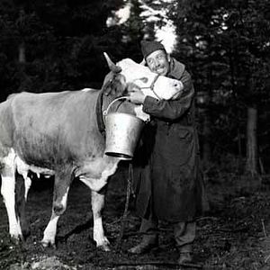 Bilder Henri Verneuil