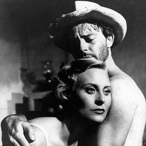 Bilder Michèle Morgan