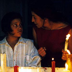 Bilder Der Flug des Schmetterlings