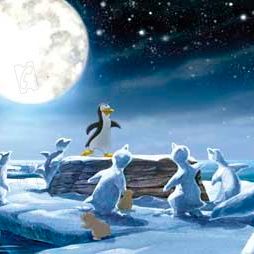 Bilder Piet De Rycker