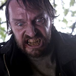 Bilder Julian Richards