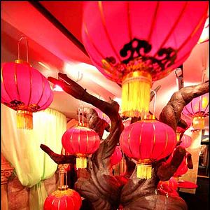 Bilder Harry Potter und der Halbblutprinz