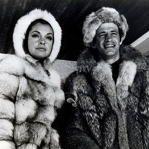 Bilder Der Schlaufuchs