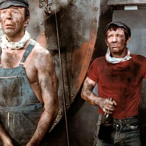 Bilder Der Schlaufuchs