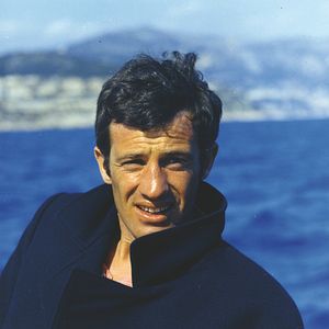 Bilder Der Schlaufuchs