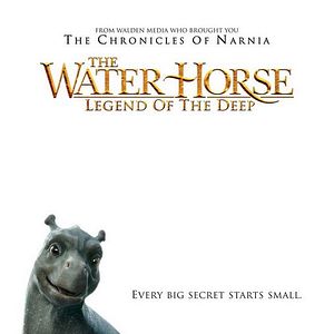 Bilder Mein Freund, der Wasserdrache