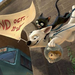 Bilder Chris Williams