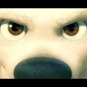 Bilder Chris Williams