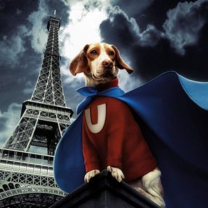 Bilder Underdog