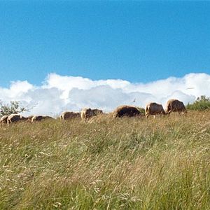 Bilder Modernes Leben