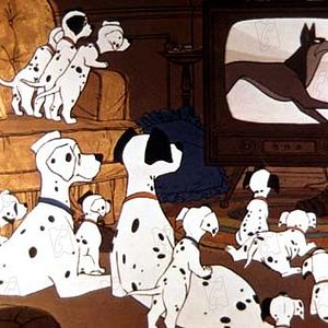 Bilder 101 Dalmatiner