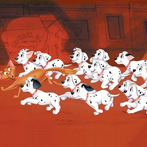 Bilder 101 Dalmatiner