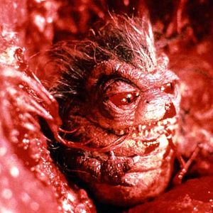 Bilder Rupert Harvey