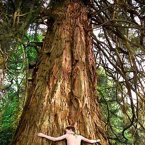 Bilder Arthur und die Minimoys 2 - Die Rückkehr des Bösen M