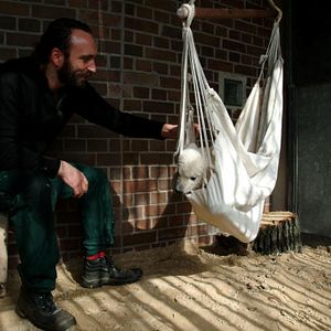 Bilder Knut und seine Freunde