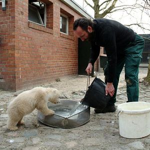 Bilder Knut und seine Freunde