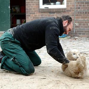 Bilder Knut und seine Freunde
