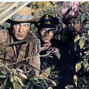 Bilder Die Teufelsbrigade