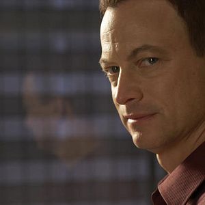 Bilder Gary Sinise