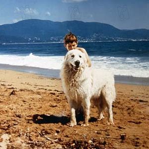 Bilder Mehdi El Glaoui