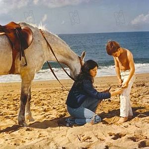 Bilder Mehdi El Glaoui