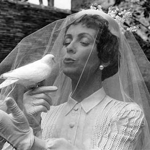 Bilder Mord auf dem Dachgarten